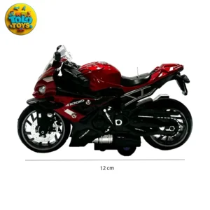 ماکت فلزی موتور سیکلت bmw 1000